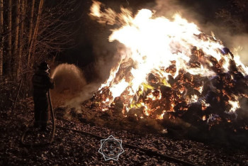 Фотография к новости: 1000 тюков сена сгорели в Жамбылской области