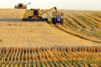 Фотография к новости: Более 9 тысяч гектаров земли отобрали в ЗКО у нерадивых землепользователей