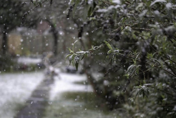 Фотография к новости: Штормовое предупреждение объявлено почти по всему Казахстану