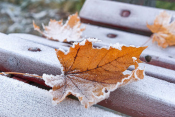 Фотография к новости: Какая погода ожидает казахстанцев 18 ноября