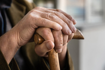 Фотография к новости: В чём суть пенсионной реформы и когда её планируют внедрять