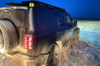 Фотография к новости: Косулю застрелил браконьер в Павлодарской области