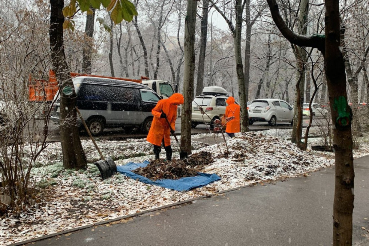  акимат г. Алматы