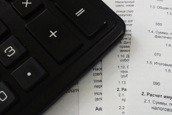 Фотография к новости: Почему декларирование доходов физлиц бессмысленно: мнение экспертов