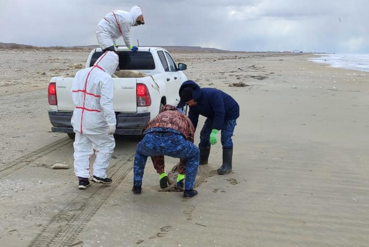  рыбинспекция Мангистауской области