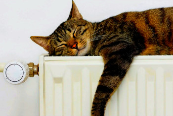 Фотография к новости: Отопление восстановили в Караганде после инцидента с грузовиком