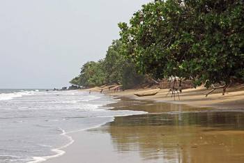 Фотография к новости: Не менее 20 человек погибли из-за крушения лодки в Камеруне