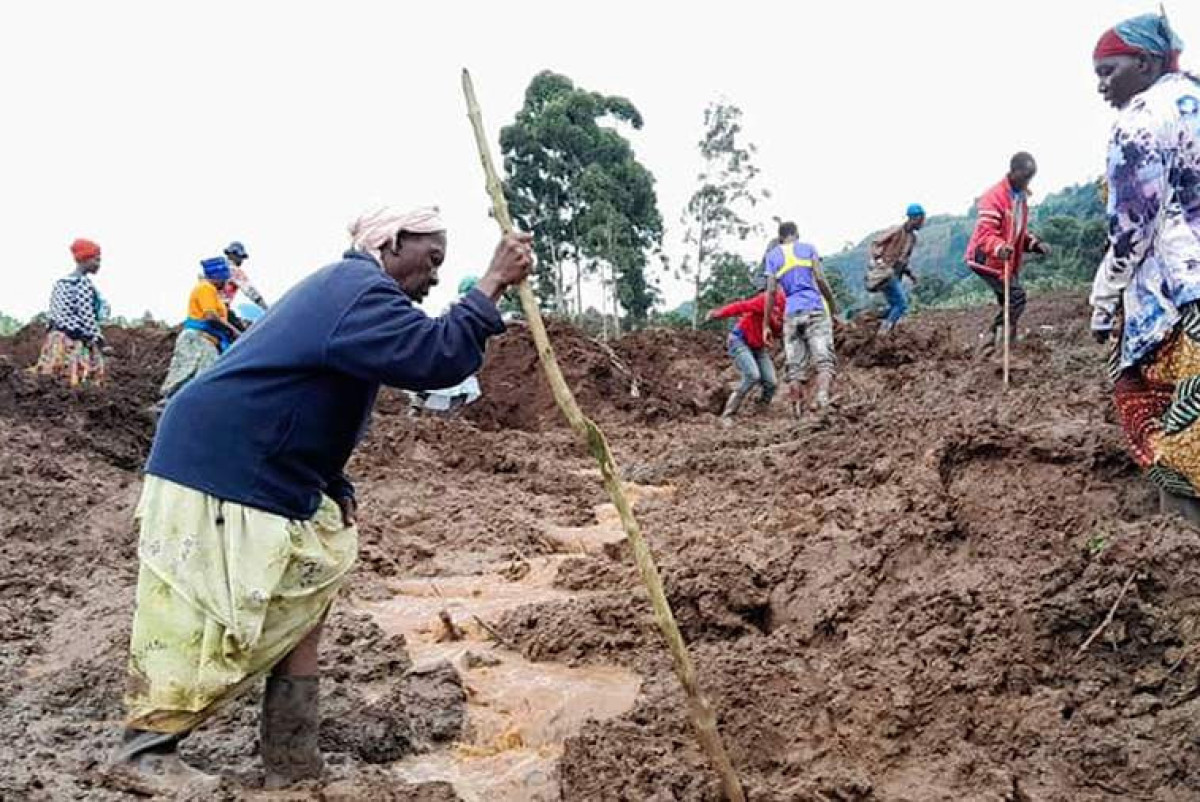  ТАСС/Jean Watala