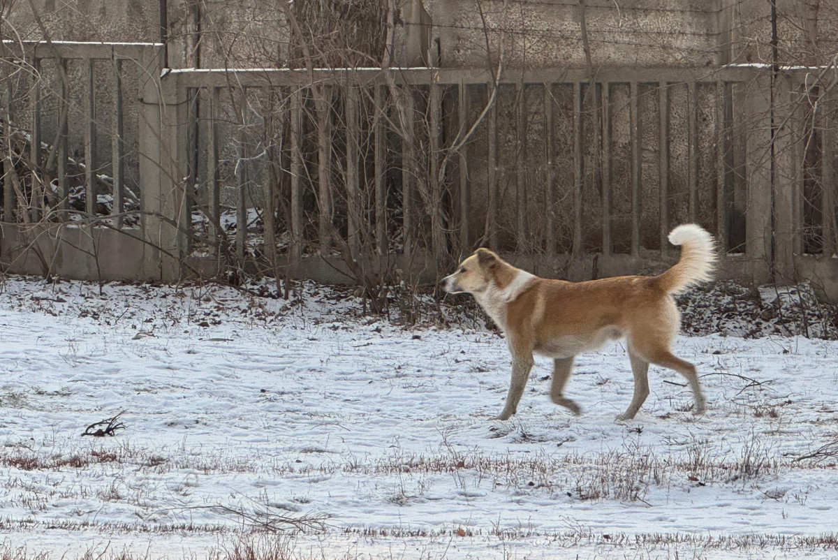  Юлия Чернявская/BaigeNews.kz