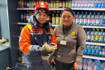 Фотография к новости: Столичные пожарные спасли котёнка