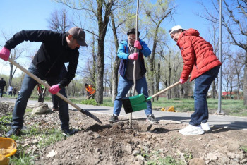 Фотография к новости: В Алматы на озеленение в 2025 году выделят 10,6 млрд тенге