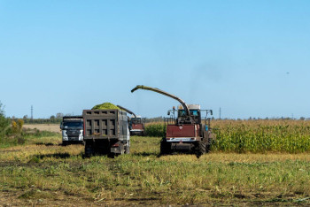 Фотография к новости: Казахстан расширяет экспортные рынки для зерновых