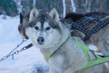 Фотография к новости: Зимний сезон готовятся открыть в Бурабае