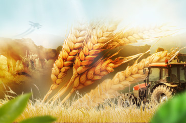 Фотография к новости: Климат и грамотные агротехнологии: Депутат рассказал о рекордных урожаях Казахстана