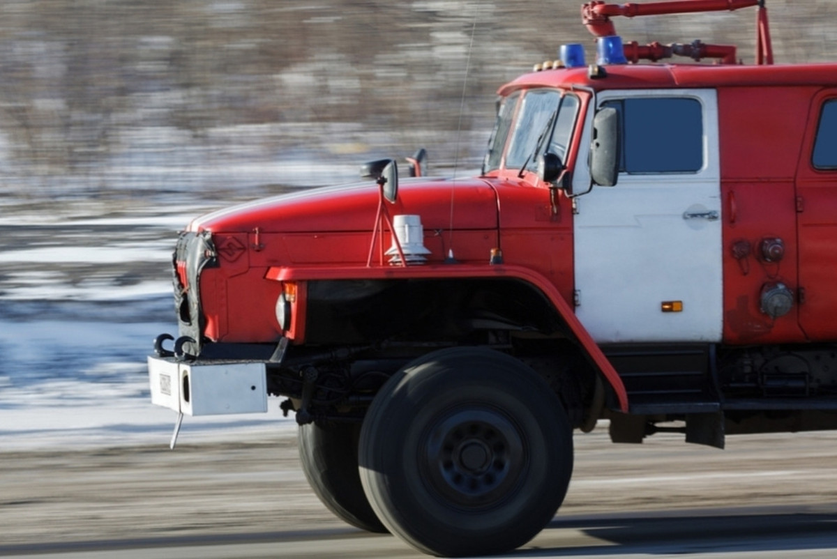  vladimir.mk.ru