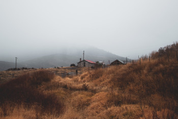 Фотография к новости: 12,1 млн гектаров земель вернули государству в Казахстане