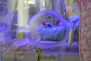 Фотография к новости: Медики обожгли новорождённого в Кызылорде