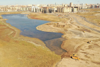 Фотография к новости: Аким Астаны высказался о судьбе Талдыколя
