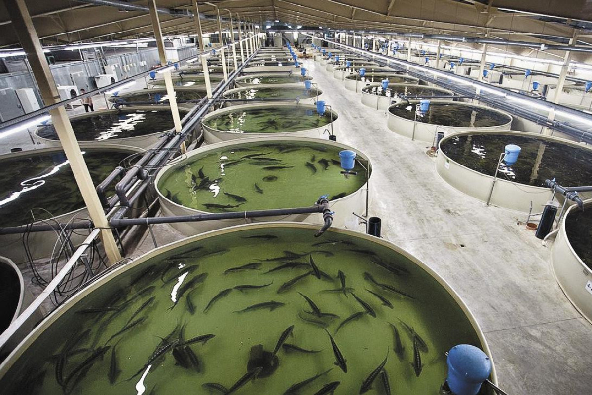  пресс-служба акимата Мангистауской области