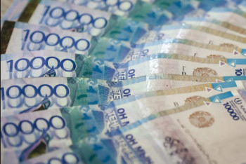 Фотография к новости: В 2025 году ветеринары ВКО получат новую технику и прибавку к зарплате