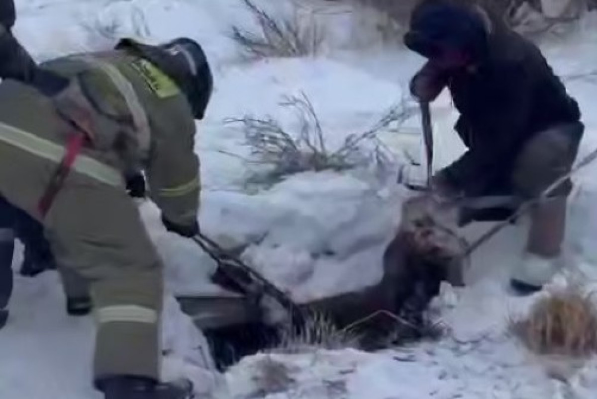  сскриншот с видео