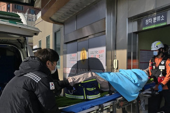 Фотография к новости: Власти Южной Кореи официально признали погибшими 179 из 181 пассажира самолёта