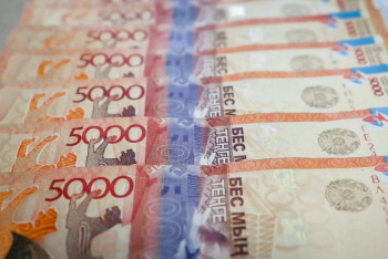 Фотография к новости: Платить аграриям по 500 тысяч тенге предложили в Казахстане