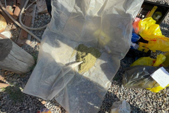 Фотография к новости: С крупной партией марихуаны задержали мужчину на юге Казахстана