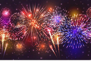 Фотография к новости: Испугавшиеся новогодних салютов собаки залезли в трубу и застряли в ней