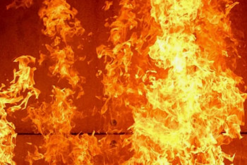 Фотография к новости: Крупный пожар ликвидировали в Талгаре