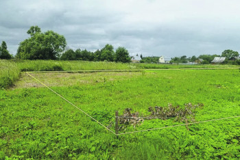 Фотография к новости: Земли для госнужд незаконно изымали у жителей Кызылорды