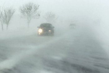 Фотография к новости: Страшная буря: человека спасли в области Жетісу
