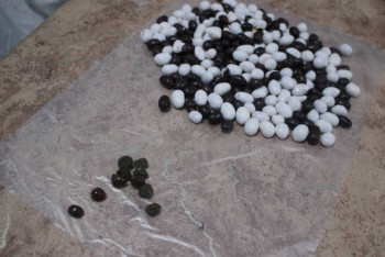 Фотография к новости: Наркотики в орехах пытались передать осужденному в карагандинскую колонию