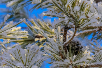 Фотография к новости: Снегопады и метели прогнозируют по Казахстану