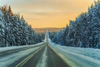 Фотография к новости: В каких регионах Казахстана открыли движение