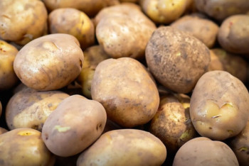 Фотография к новости: Ограничение на продажу картофеля сняли в Астане