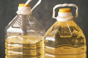 Фотография к новости: Казахстанские маслопроизводители испытывают серьезный дефицит сырья