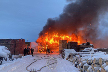 Фотография к новости: Два грузовика с древесиной вспыхнули на предприятии в СКО