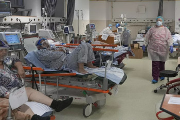 Фотография к новости: Смерти от гриппа в Румынии: власти бьют тревогу