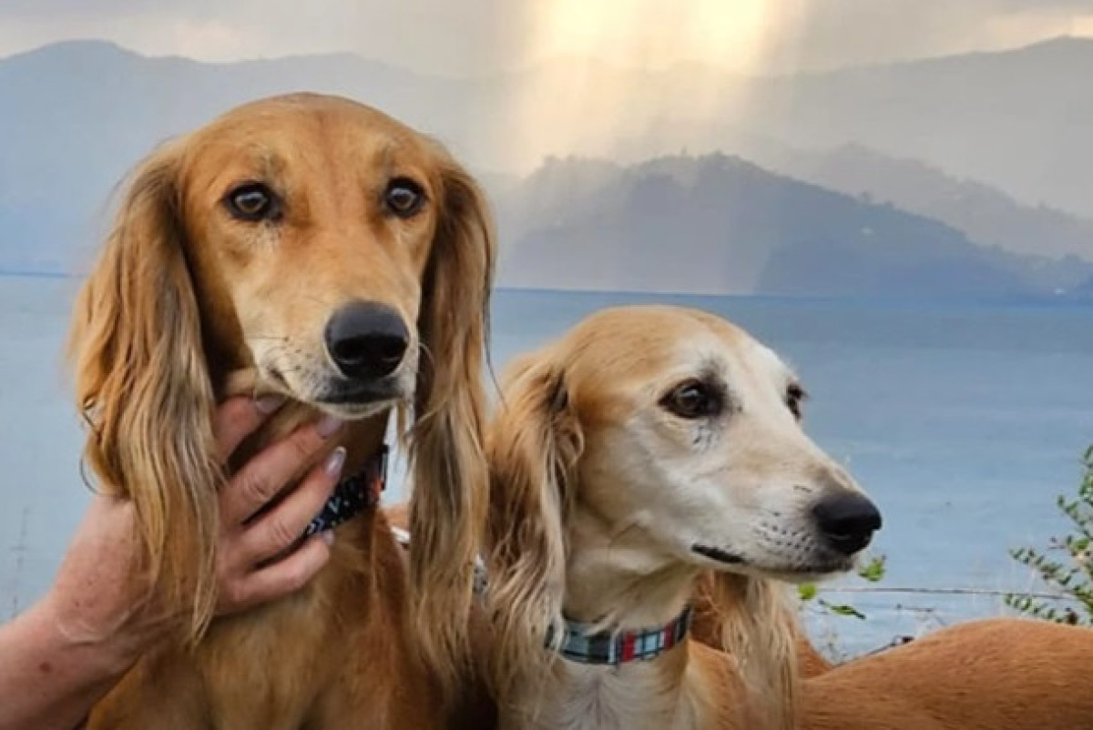  Фото: Елены Хардиной