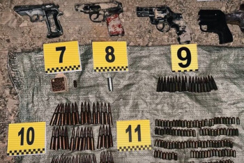 Фотография к новости: Почти 3 тыс единиц оружия было похищено во время январских событий