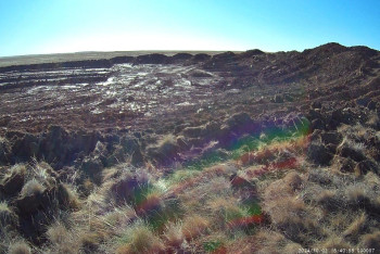 Фотография к новости: Костанайские фермеры тайно добывали золото на пастбище