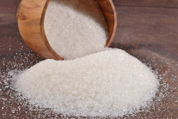 Фотография к новости: Крупный сахарный завод построят в Казахстане