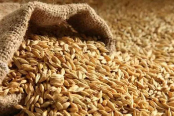 Фотография к новости: Казахстанские фермеры активно выходят на мировые рынки