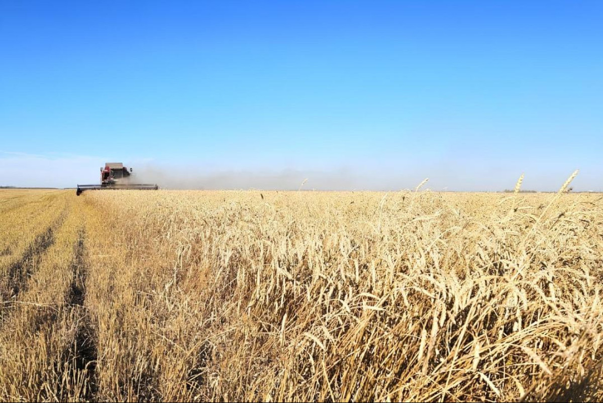  Минсельхоз РК