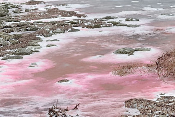 Фотография к новости: Экологи объяснили причины покрасневшей воды в Каспийском море