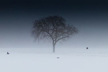 Фотография к новости: Туман накроет основную часть Казахстана