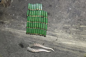 Фотография к новости: Шкура волчицы для ковра: дерзких браконьеров задержали в Костанайской области