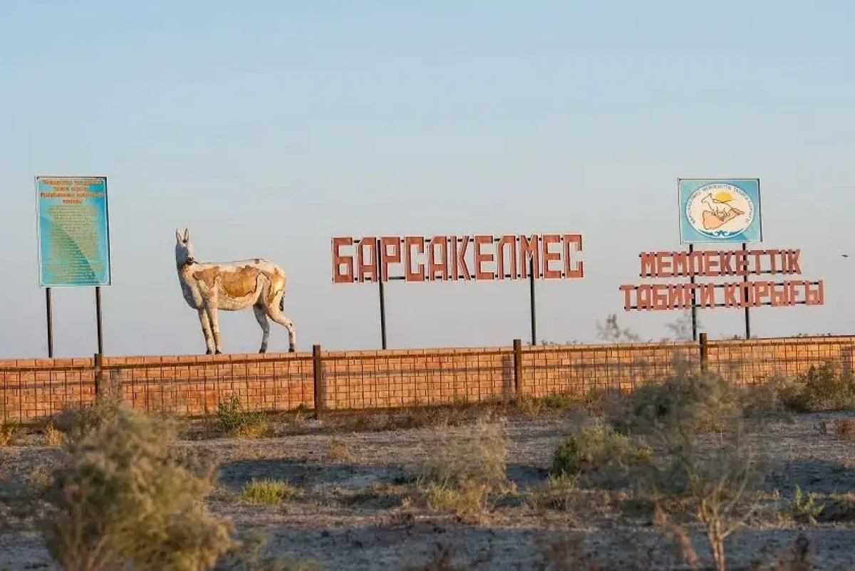  природный заповедник Барсакелмес