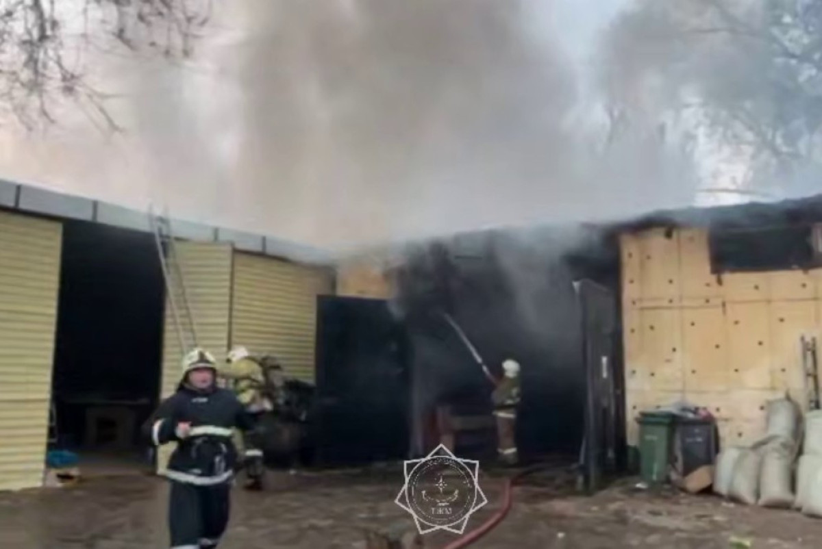  скриншот с видео